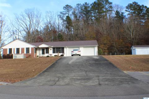 315 3rd Ave, Glencoe, AL 35905 photo 2