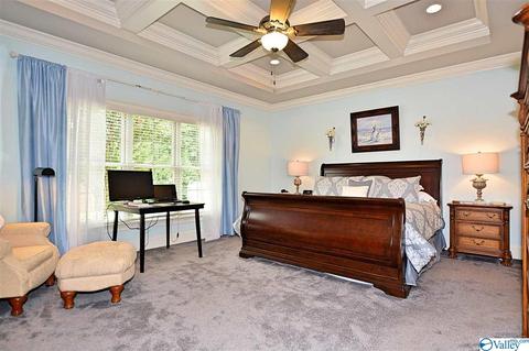 105 Appleton Ln, Madison, AL 35756 photo 22