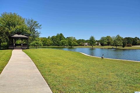 105 Appleton Ln, Madison, AL 35756 photo 49
