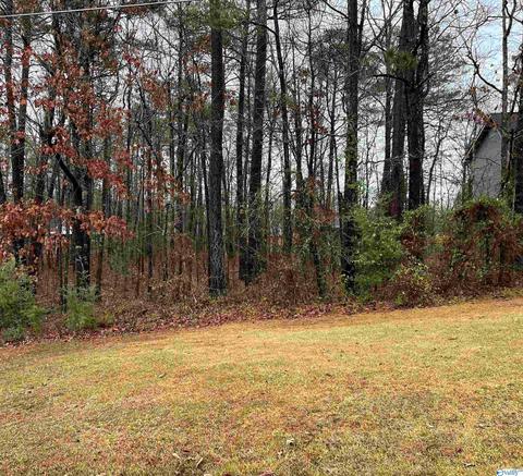 lot2 Blk 5 County Road 380, Centre, AL 35960