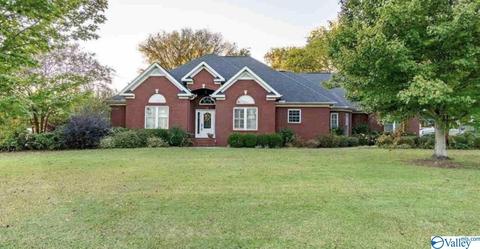 16 Forest Home Dr, Trinity, AL 35673 photo 1
