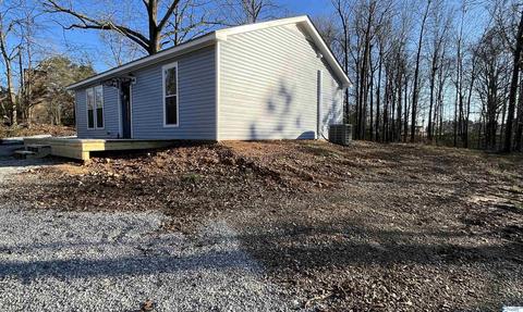 223 County Road 353, Trinity, AL 35673 photo 23