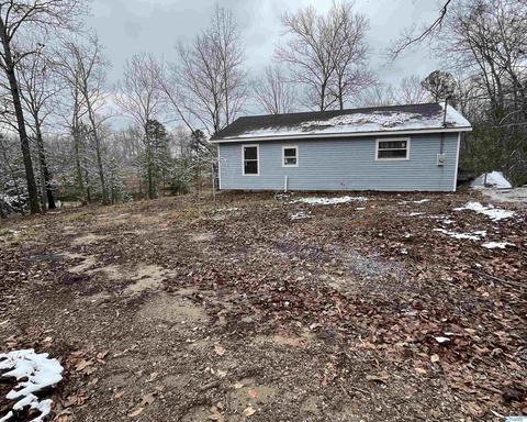 223 County Road 353, Trinity, AL 35673 photo 19