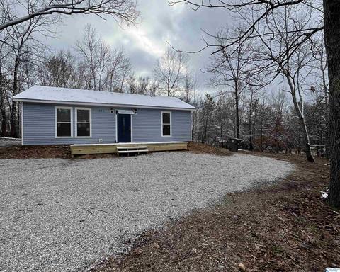 223 County Road 353, Trinity, AL 35673 photo 11