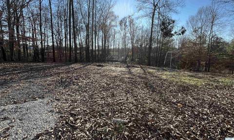 223 County Road 353, Trinity, AL 35673 photo 24