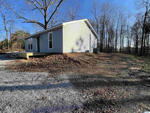 223 County Road 353, Trinity, AL 35673 photo 17