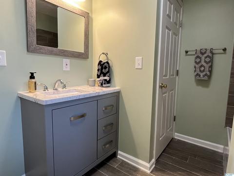 223 County Road 353, Trinity, AL 35673 photo 4