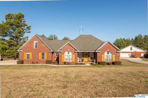 77 County Road 497, Trinity, AL 35673 photo 1