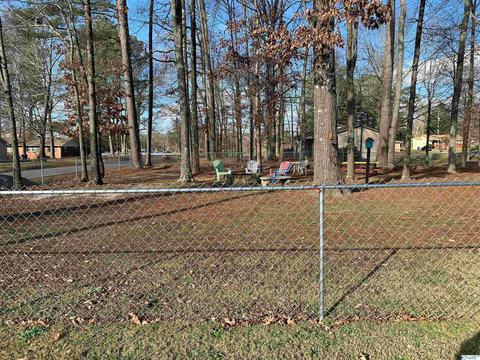 309 7th Ave, Arab, AL 35016 photo 19