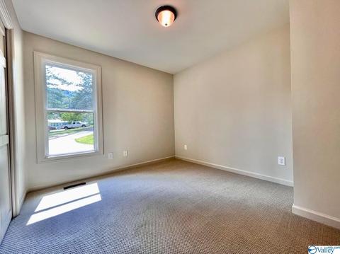 862 Honeycomb Rd, Grant, AL 35747 photo 19