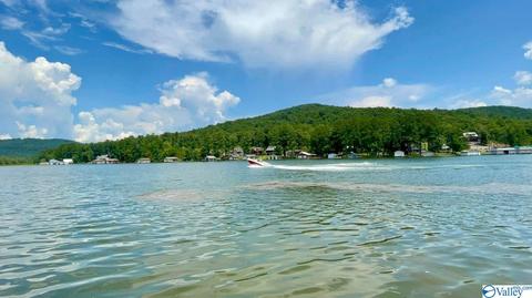 862 Honeycomb Rd, Grant, AL 35747 photo 40