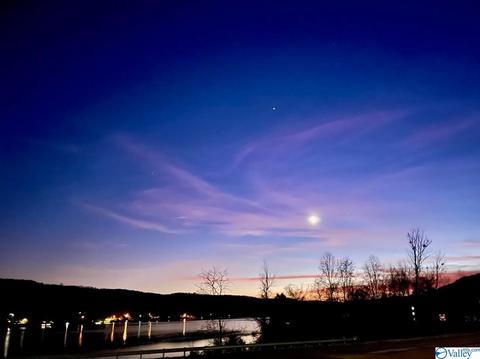 862 Honeycomb Rd, Grant, AL 35747 photo 48
