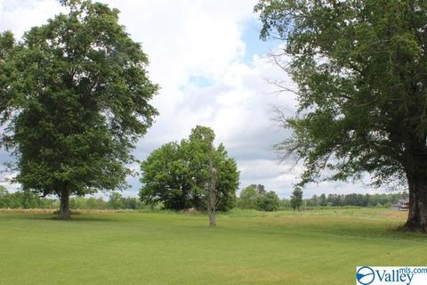 2641 County Road 395, Dutton, AL 35744 photo 7