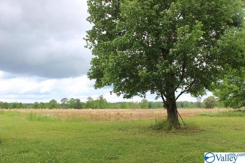 2641 County Road 395, Dutton, AL 35744 photo 4