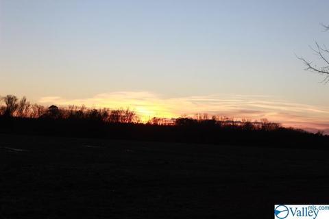 2641 County Road 395, Dutton, AL 35744 photo 35