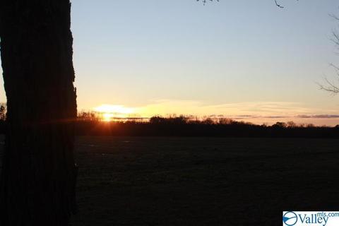 2641 County Road 395, Dutton, AL 35744 photo 9
