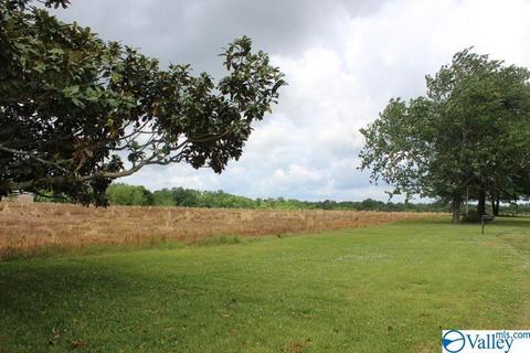 2641 County Road 395, Dutton, AL 35744 photo 3