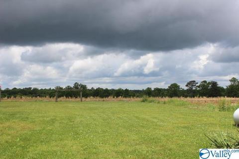 2641 County Road 395, Dutton, AL 35744 photo 5