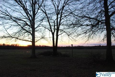 2641 County Road 395, Dutton, AL 35744 photo 36