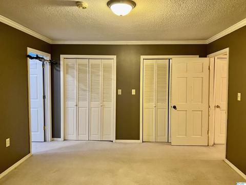 127 Bell Dr, Trinity, AL 35673 photo 38