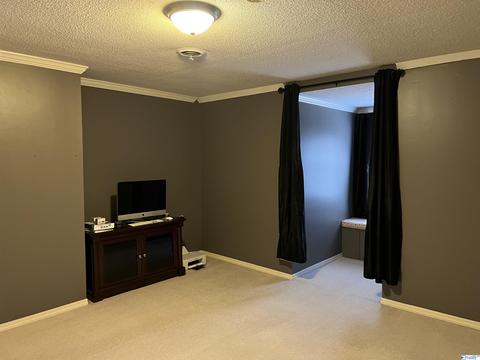 127 Bell Dr, Trinity, AL 35673 photo 39