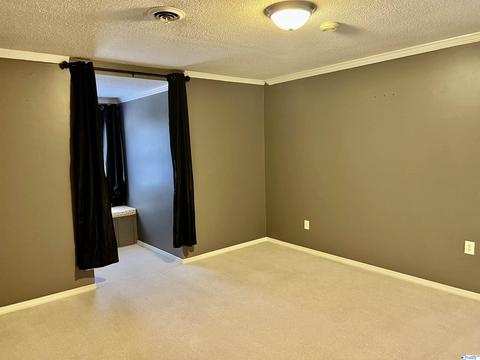 127 Bell Dr, Trinity, AL 35673 photo 37