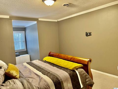 127 Bell Dr, Trinity, AL 35673 photo 32
