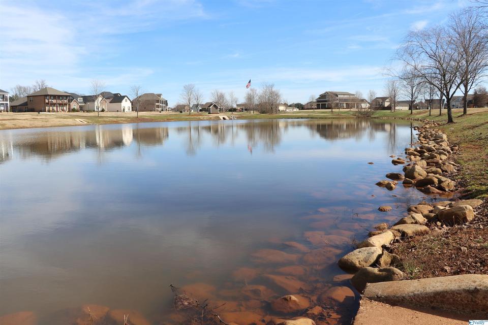  1113 Water Park Way, Huntsville, AL 35806 photo 37