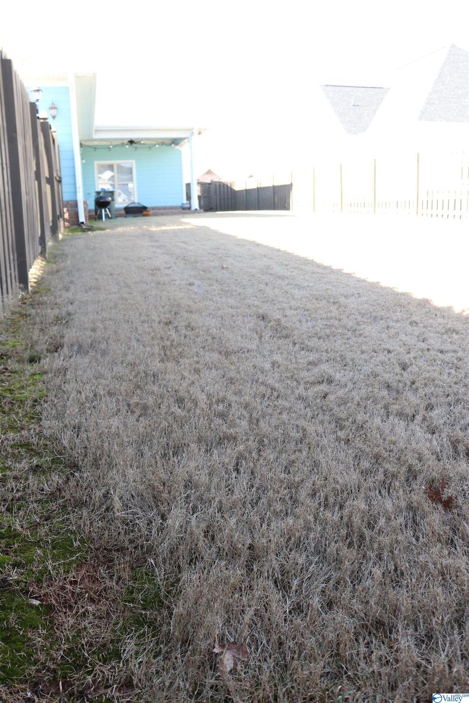  1113 Water Park Way, Huntsville, AL 35806 photo 31