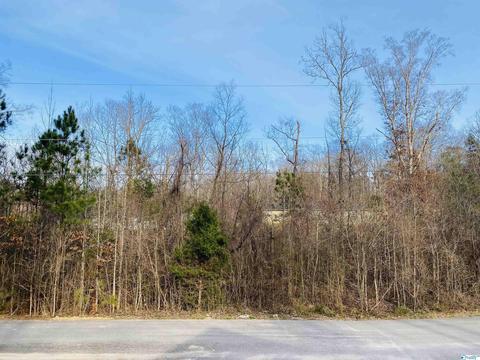 2286 Madison Loop, Southside, AL 35907 photo 16