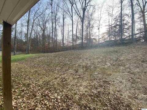 2286 Madison Loop, Southside, AL 35907 photo 15