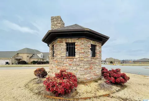 lot106 Tower Ct, Trinity, AL 35673 photo 5