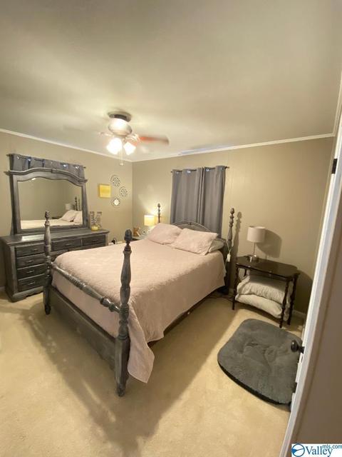 6493 County Road 214, Trinity, AL 35673 photo 19
