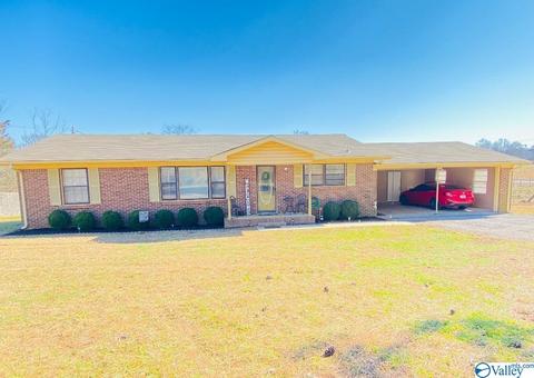 6493 County Road 214, Trinity, AL 35673 photo 1