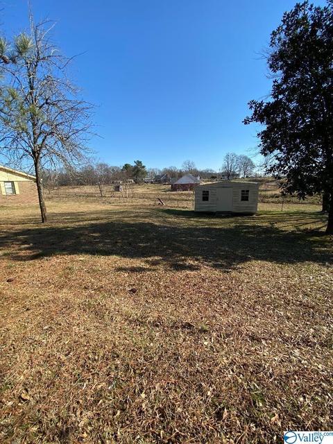 6493 County Road 214, Trinity, AL 35673 photo 5