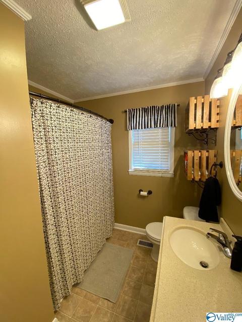 6493 County Road 214, Trinity, AL 35673 photo 17