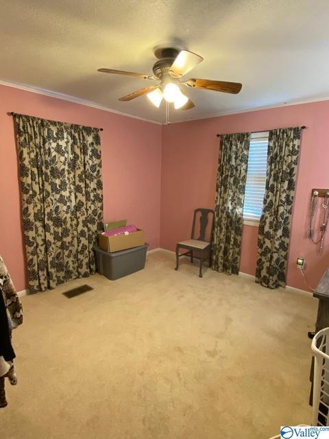 6493 County Road 214, Trinity, AL 35673 photo 20
