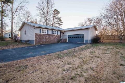193 Ayers Cir, Grant, AL 35747 photo 1