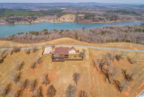 95 County Road 1022, Cedar Bluff, AL 35959 photo 4