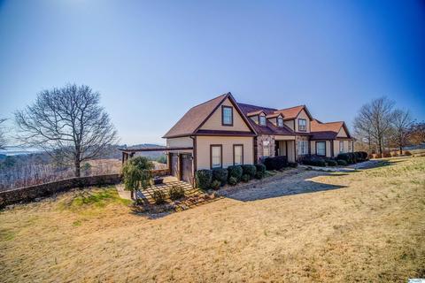 95 County Road 1022, Cedar Bluff, AL 35959 photo 2