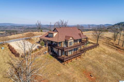 95 County Road 1022, Cedar Bluff, AL 35959 photo 49