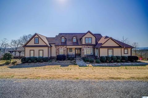 95 County Road 1022, Cedar Bluff, AL 35959 photo 1