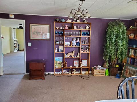 632 Bluff Rd, Section, AL 35771 photo 10