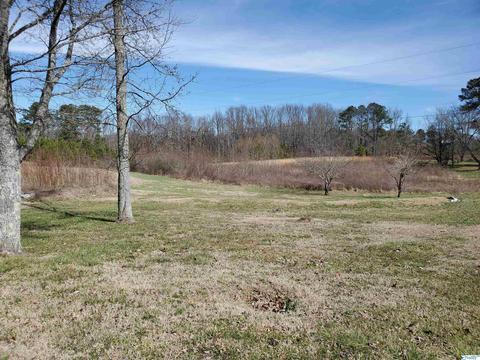 632 Bluff Rd, Section, AL 35771 photo 25