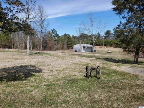 632 Bluff Rd, Section, AL 35771 photo 21