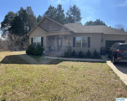 4773 E Upper River Rd, Somerville, AL 35670 photo 1