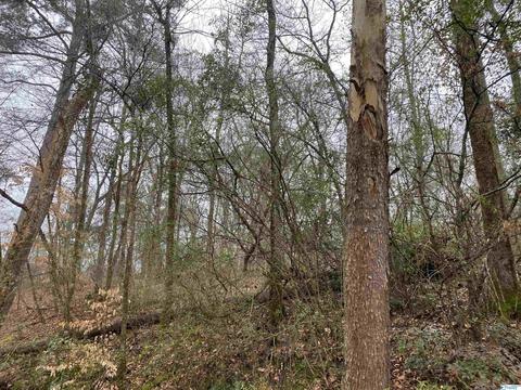 1 Bud Weaver Rd, Hartselle, AL 35640