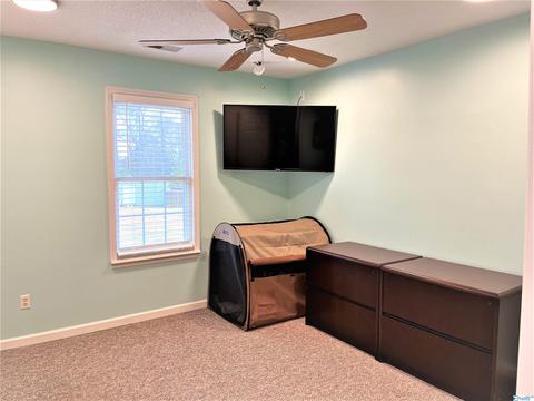 220 County Road 378, Trinity, AL 35673 photo 13