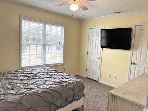 220 County Road 378, Trinity, AL 35673 photo 16