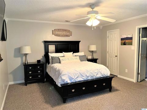 220 County Road 378, Trinity, AL 35673 photo 10